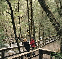 Franklin River Nature Trail - Holiday Find