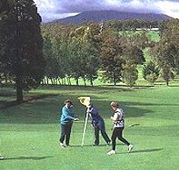 Deloraine Golf Course - Holiday Find