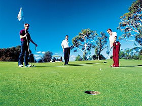 Bagdad Public Golf Course - Holiday Find 0