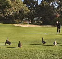 Royal Hobart Golf Club - Holiday Find