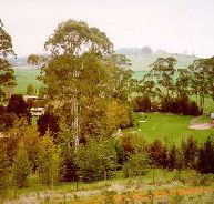 The Tasmanian Arboretum - Holiday Find