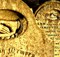 Penguin General Cemetery - Holiday Find