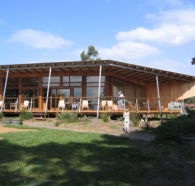 Art At The Point Gallery - Holiday Find