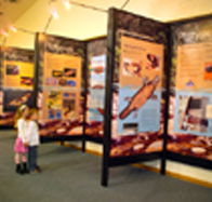 Platypus Experience - Holiday Find