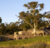 Domaine A / Stoney Vineyard - Holiday Find