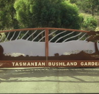 Tasmanian Bushland Garden - Holiday Find