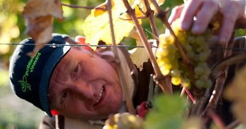 Puddleduck Vineyard - Holiday Find 0