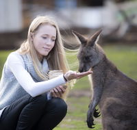Bonorong Wildlife Sanctuary - Holiday Find