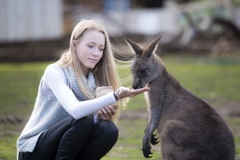 Bonorong Wildlife Sanctuary - Holiday Find 0