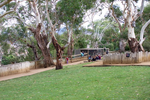 Bonorong Wildlife Sanctuary - Holiday Find 2
