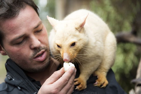 Bonorong Wildlife Sanctuary - Holiday Find 4