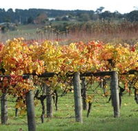 Apsley Gorge Vineyard - Holiday Find