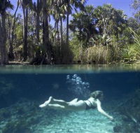 Bitter Springs - Holiday Find