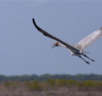 Gayngaru Wetlands Interpretive Walk - Holiday Find