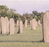 Magnetic Termite Mounds - Holiday Find