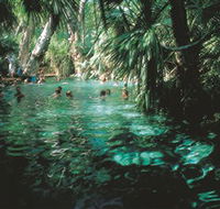 Mataranka Thermal Pool - Holiday Find
