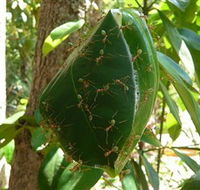 Greenant Creek Walk - Holiday Find