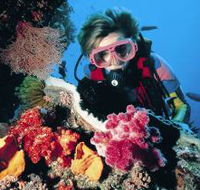 Cook Island Dive Site - Holiday Find