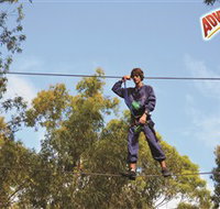Adventure Parc at Currumbin Wildlife Sanctuary - Holiday Find