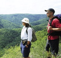 Sunshine Coast Hinterland Great Walk - Holiday Find