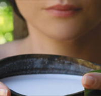 Ikatan Day Spa - Holiday Find