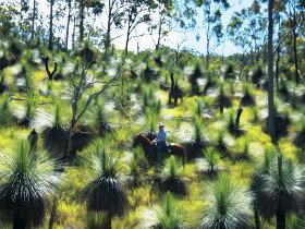Mudlo QLD Holiday Find