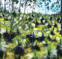 Bicentennial National Trail - Section 5 - Holiday Find