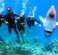 Jew Shoal Dive Site - Holiday Find