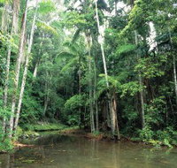 Mount Allan Trail - Holiday Find