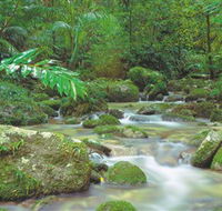 Mossman Gorge Daintree National Park
