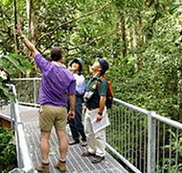 Daintree Discovery Centre - Holiday Find