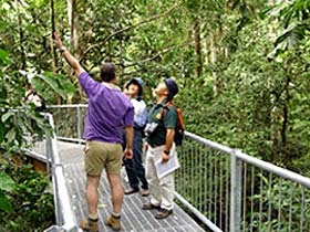Daintree Discovery Centre - Holiday Find 0