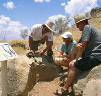 Riversleigh Fossil Fields - Holiday Find