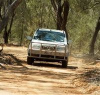 Ward River 4x4 Stock Route Trail - Holiday Find