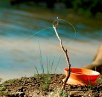 Charleville - Mangalore Warrego River Fishing Spot - Holiday Find