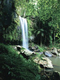Tamborine QLD Holiday Find