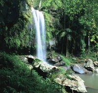 Curtis Falls Joalah Section - Holiday Find