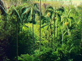 Kalpowar QLD Holiday Find