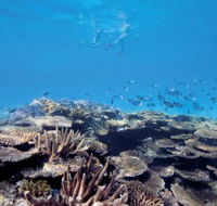 Australian Institute of Marine Science - Holiday Find