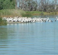 Lake Ross - Holiday Find
