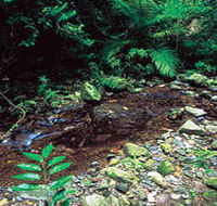 Wompoo Walk - Holiday Find