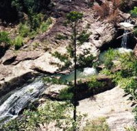 Banksia Track and the Boardwalk - Holiday Find