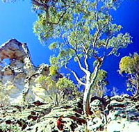 Mount Moffatt Section - Carnarvon National Park - Holiday Find