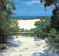 Lake Wabby Track - Holiday Find
