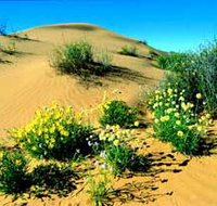 Simpson Desert National Park - Holiday Find