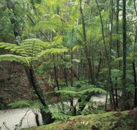 Fraser Island Great Walk - Holiday Find