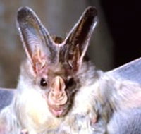 Mount Etna Caves National Park - Holiday Find