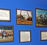 Town Hall Photographic Display - Holiday Find