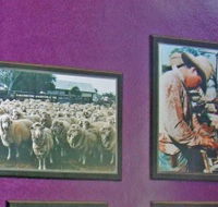 Charleville Photographic Display - Holiday Find