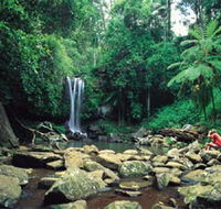 Tamborine National Park - Holiday Find